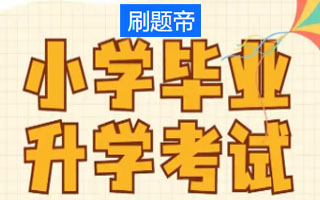 小学升学考试高效复习指南